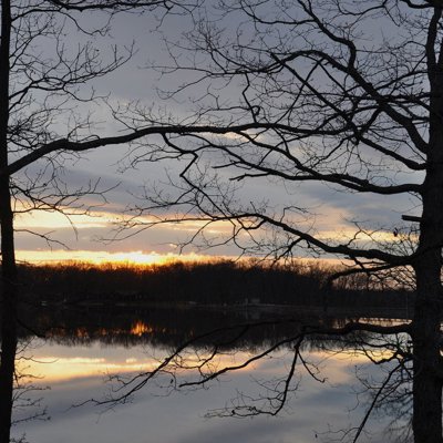 View around the lake.jpg