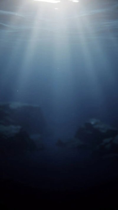 mariner-bow.webp