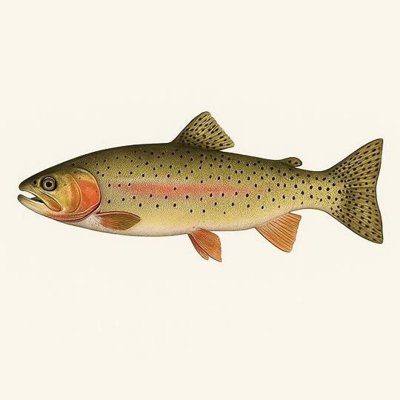 Cutthroat Trout_8f969b26-24c4-46fa-a078-0935306ef138.jpeg