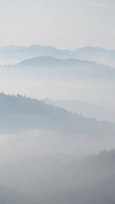 nimbus-veil.webp