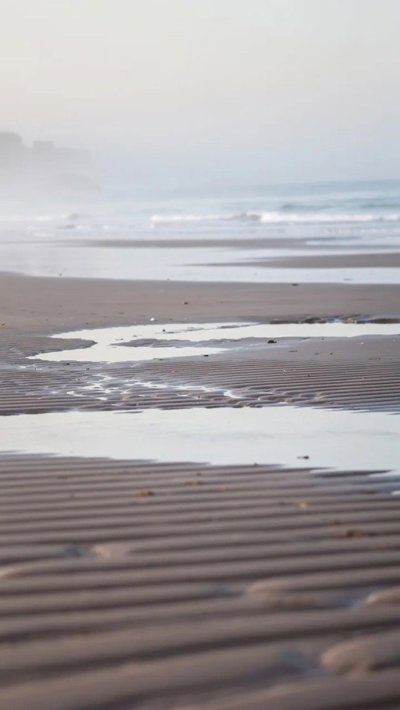 saltmarsh-ebb.webp