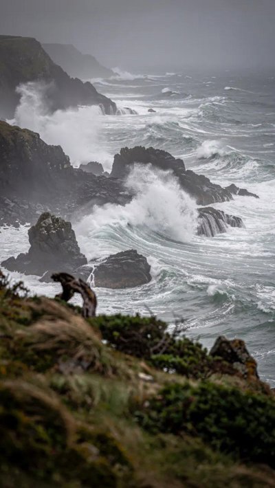 windswept-heath.webp