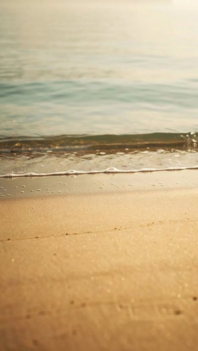 driftwood-root.webp