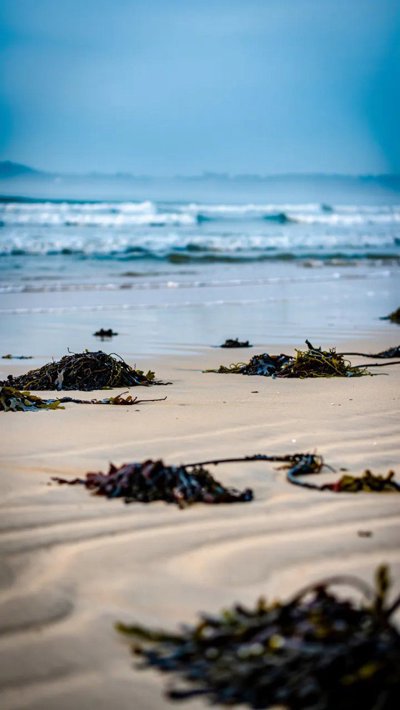 sandbar-spit.webp