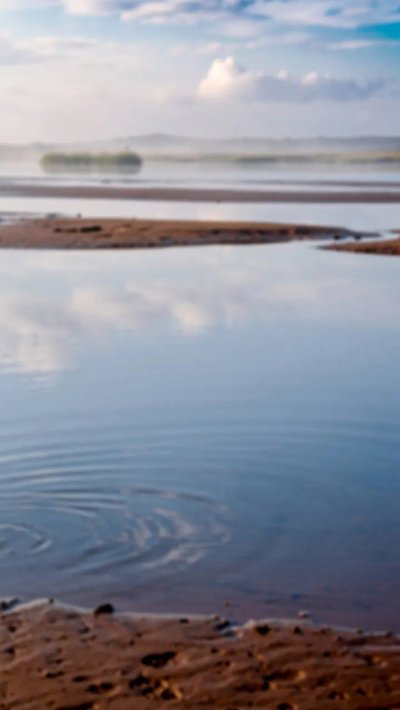 undertow-current.webp