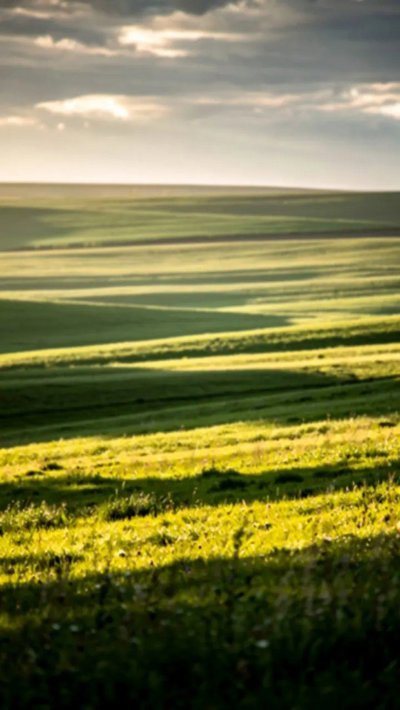 zephyr-breeze.webp