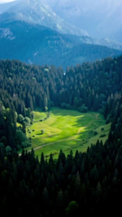 hayfield-stack.webp