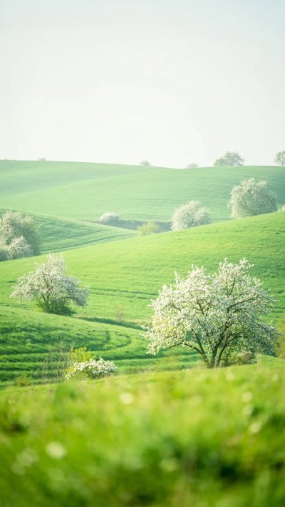 glade-nook.webp
