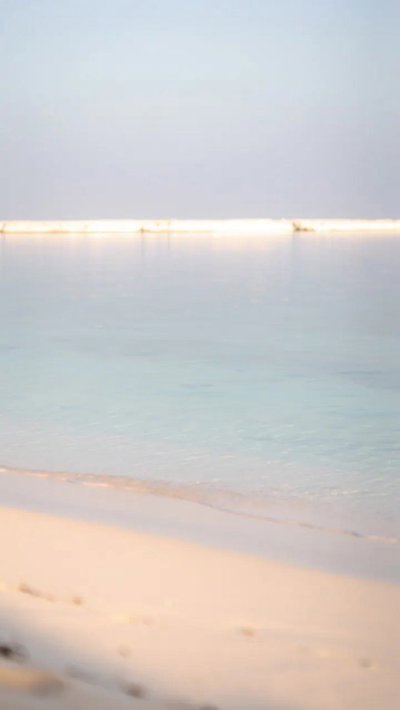 tideline-wrack.webp