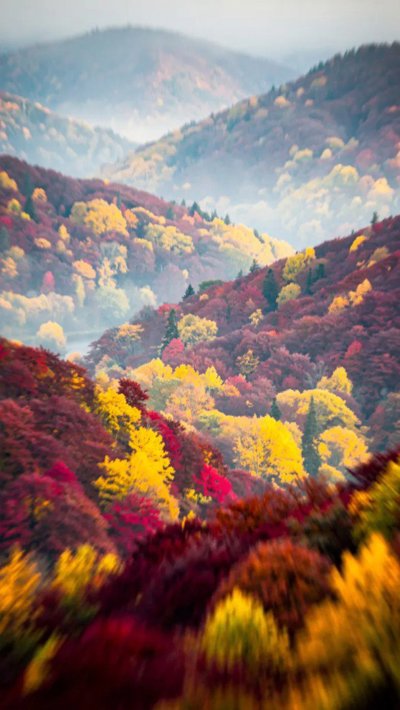 copper-sheen.webp