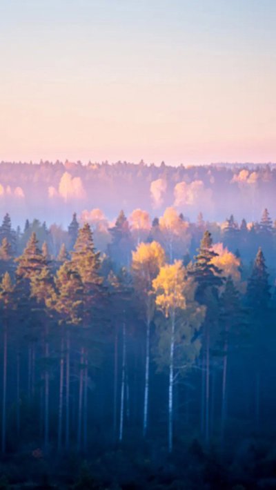 cloudburst-sheet.webp