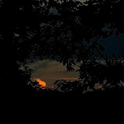 The last bit of day.jpg