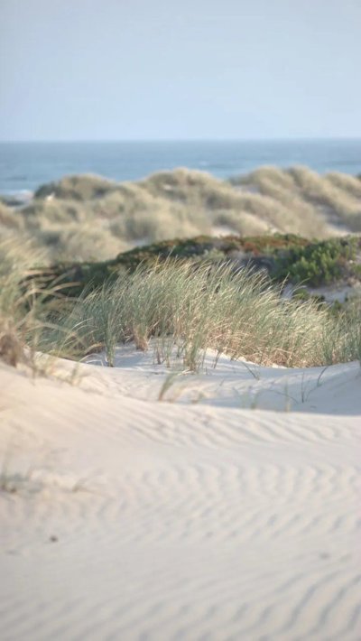 saltmarsh-creek.webp
