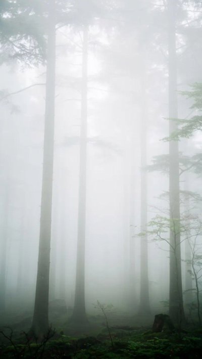 zephyr-gust.webp