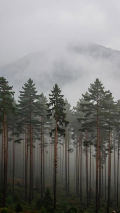 cloudburst-rush.webp