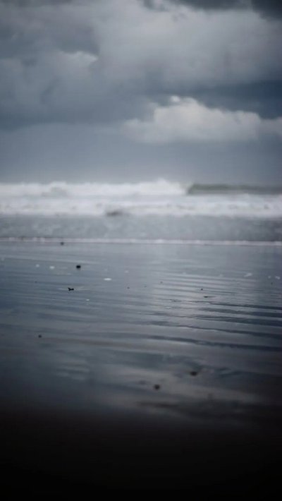 saltmarsh-mud.webp