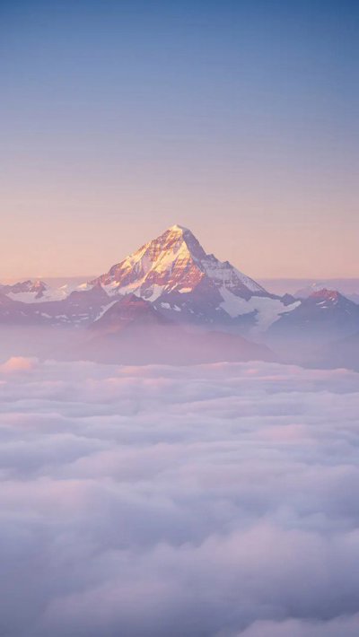 timberline-limit.webp