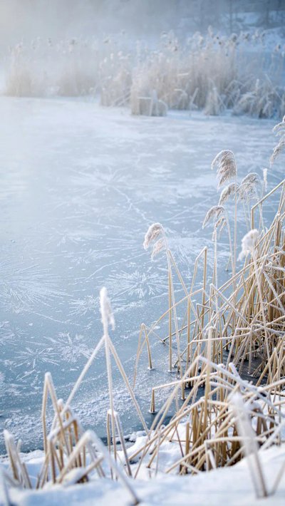snowfield-powder.webp