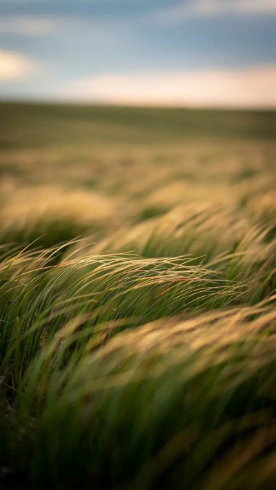 windswept-scarp.webp