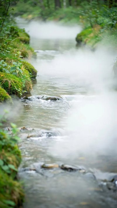 overcast-gloom.webp