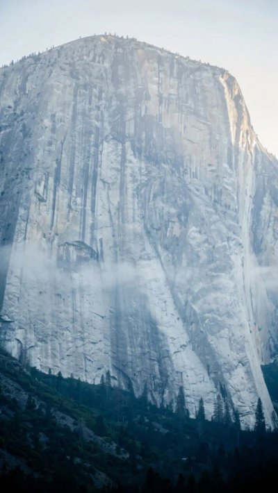 timberline-border.webp