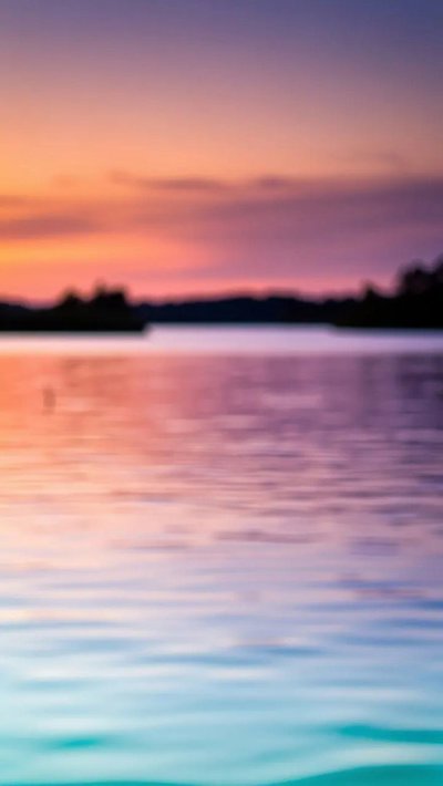 tideline-shell.webp