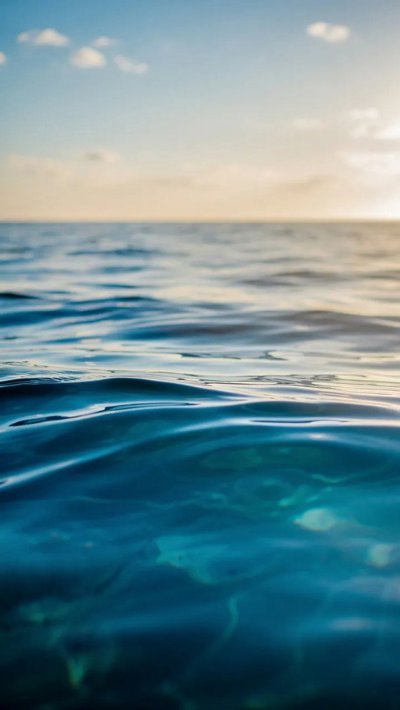 seagrass-blade.webp