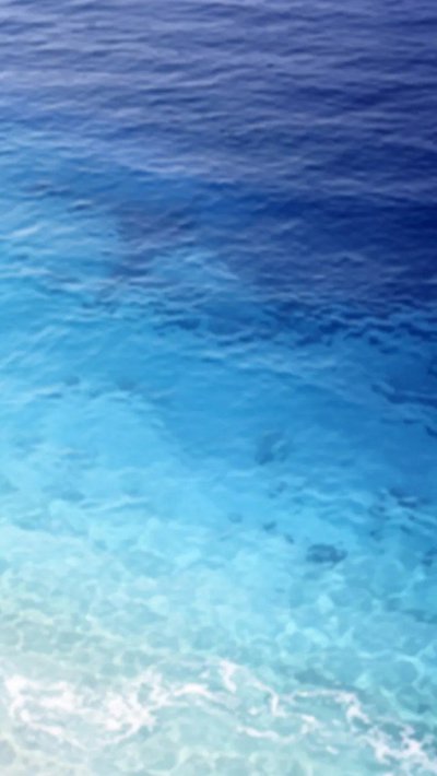 shallows-shoal.webp