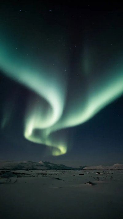 boreal-arc.webp